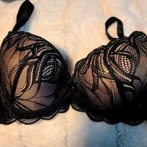 38c Paramore pushup bra